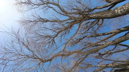 ����������� ���������� ����� ����� ������ � ������� ��������� � �������� ����