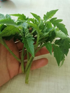 �������� ������� ������� �� ���������� ������: ������� ������