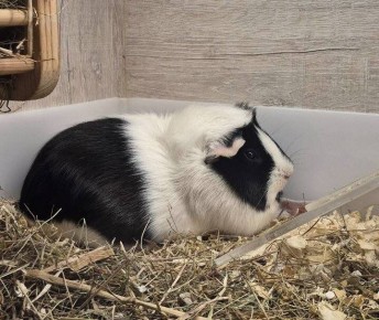 ������ ����� ���� ����� ����� �������������