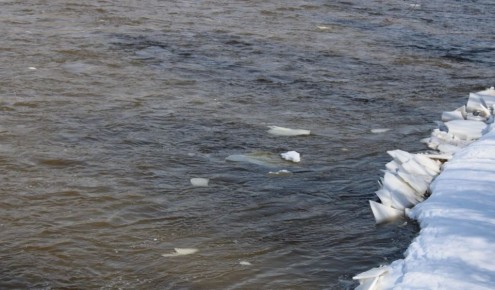 ���� ������� � ���� ������ ��������� ��������