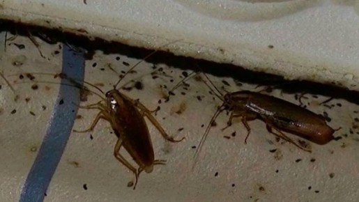 �������� �������: ��� �������� ���������� �� ���������� ������