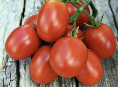 ��������� � ���������: ��� ������� ��������� ����� ������� ��� ������ �������