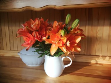 ���� ����������� �������� � ��������� �� �������-�������