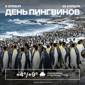 ������ ����, �����! �� �������� �������, ���� ��������� ����� �� �����