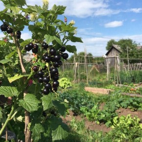 ������� ��������� �������� ������ ������ ��������� � ������