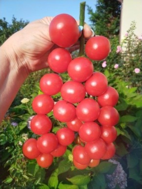 ����� ������: ������� ������� ������ � ��� �����������