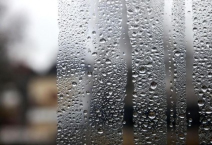 ����������� ������� ������ � �����������: ������ ���������