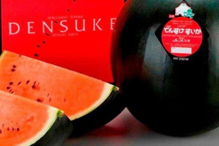 ׸���� �����: ���������� ����������� � �������� �����������