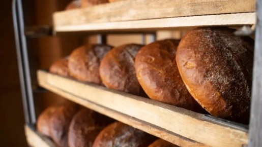 ����� ���� � ���������� ������ ��������: ������ � ����������� �������