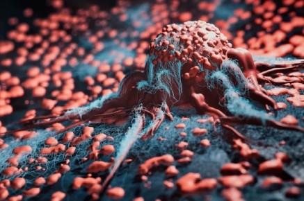 ����� ��� �������. ������ ������ ���������� ������� ��� �������� � �����