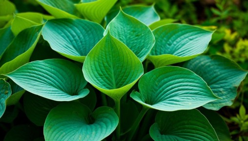 ��� ��������� ����������� ����� � ����: ������ ��� ���������