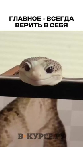 �������� ������� �� �� �����.��