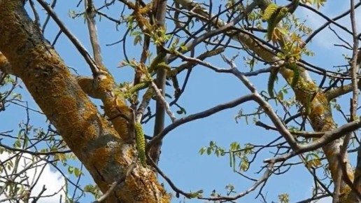 ��� ������� ������ �������� �������� �������� ������ ��������