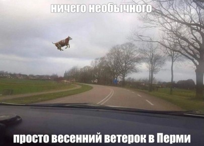 ����� �� 20 �/� ��������� ������ � �������� ����