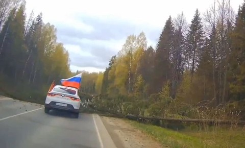 � �������� ���� �� ����� ������������ ����������� ������ ���� �� ����� �� ������