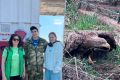 «Гонялись за ним с одеялом, пока он не выдохся»: в Пермском крае студент и школьница спасли краснокнижного орлана