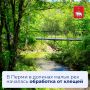 В долинах малых рек Перми началась обработка от клещей