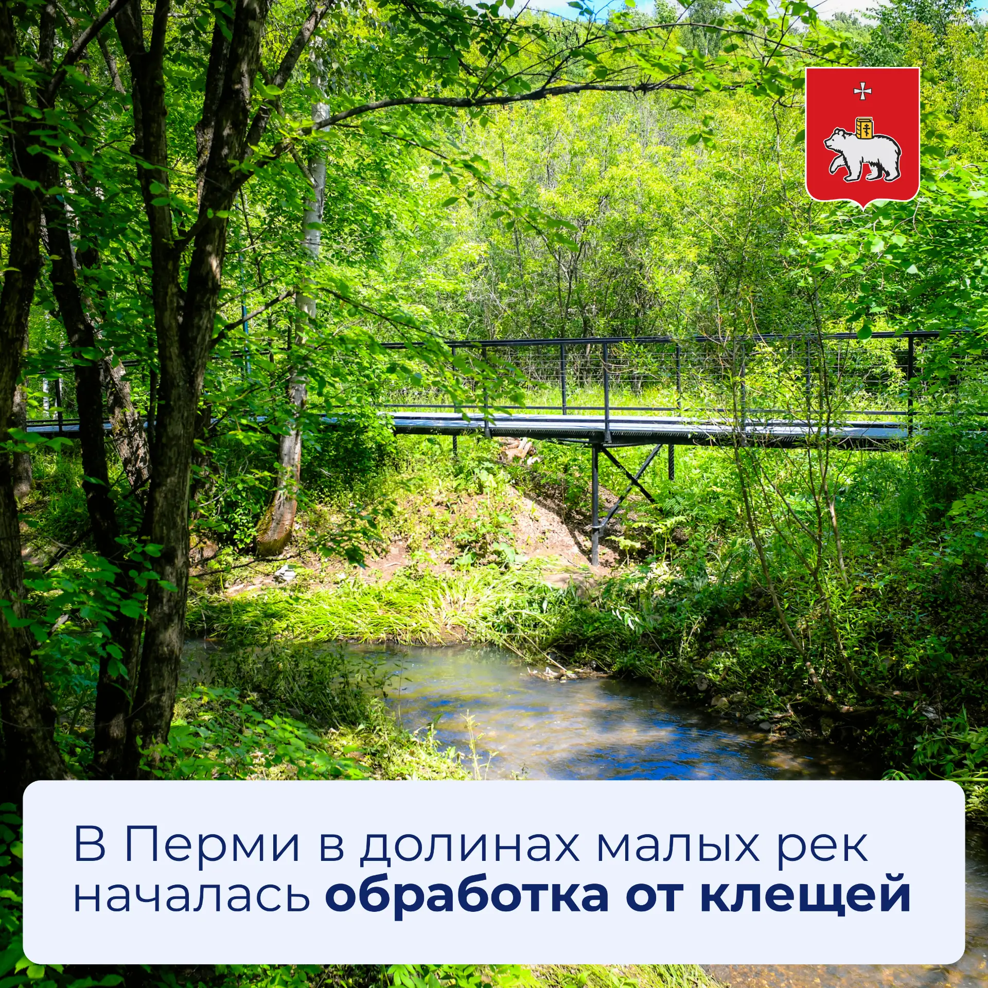 В долинах малых рек Перми началась обработка от клещей