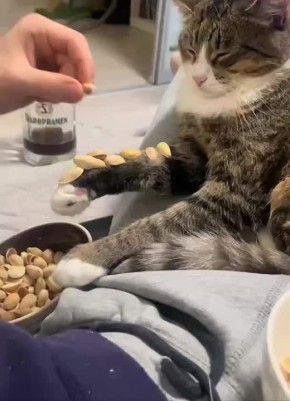 ������ � ����� ����� ����� � �������