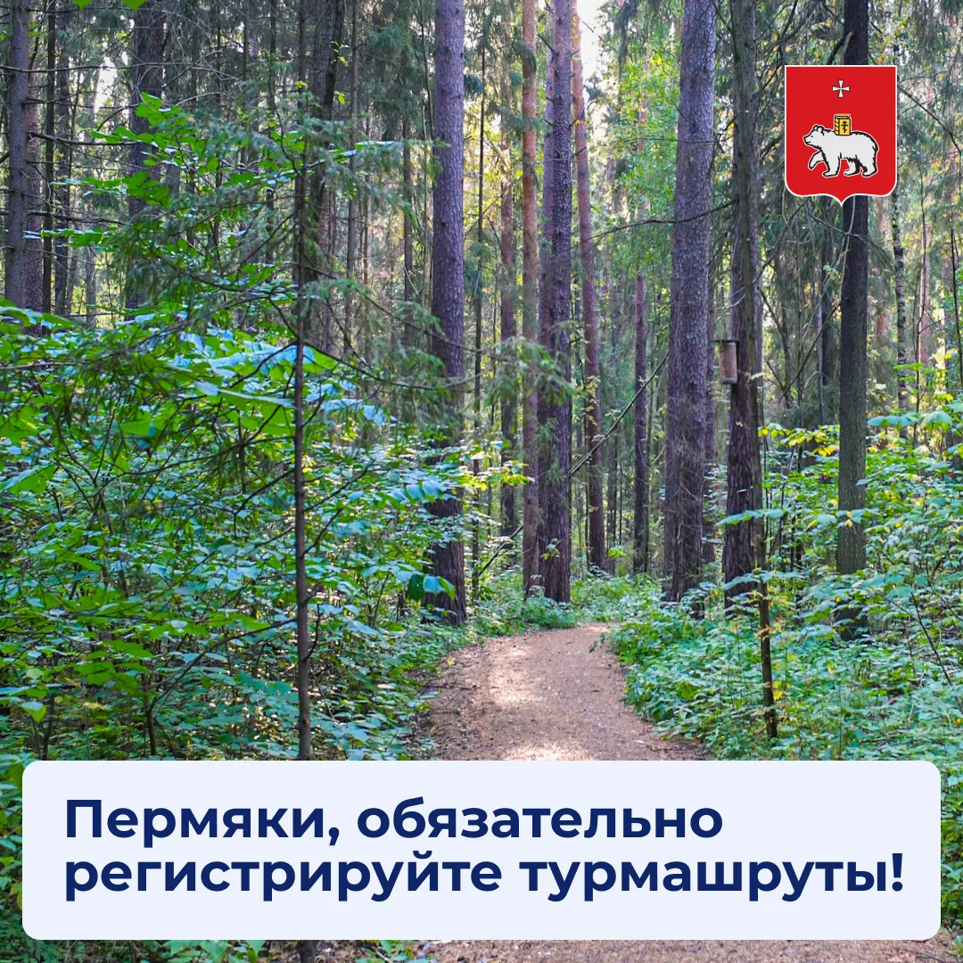 Если вы идёте в поход по горам, в пещеры или на сплав, необходимо сообщить об этом в МЧС. Это необходимо для обеспечения безопасности туристов и оперативного реагирования в случае чрезвычайных ситуаций