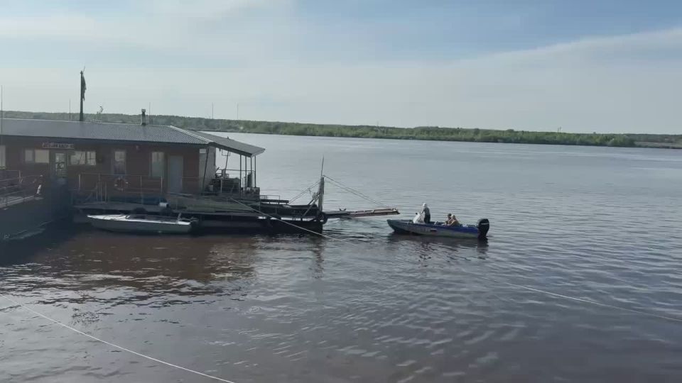 Операция по спасения лося успешно завершилась