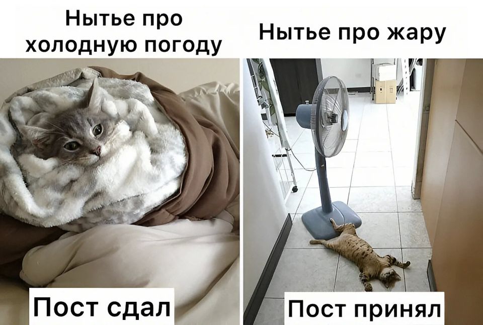 Новые суточные рекорды тепла в Пермском крае