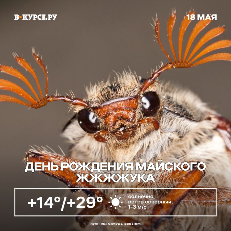 Доброе утро! Сегодня жара