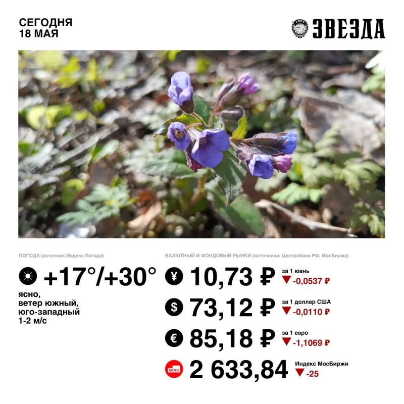 Доброе утро, Пермь!. Сегодня будет жарко и солнечно