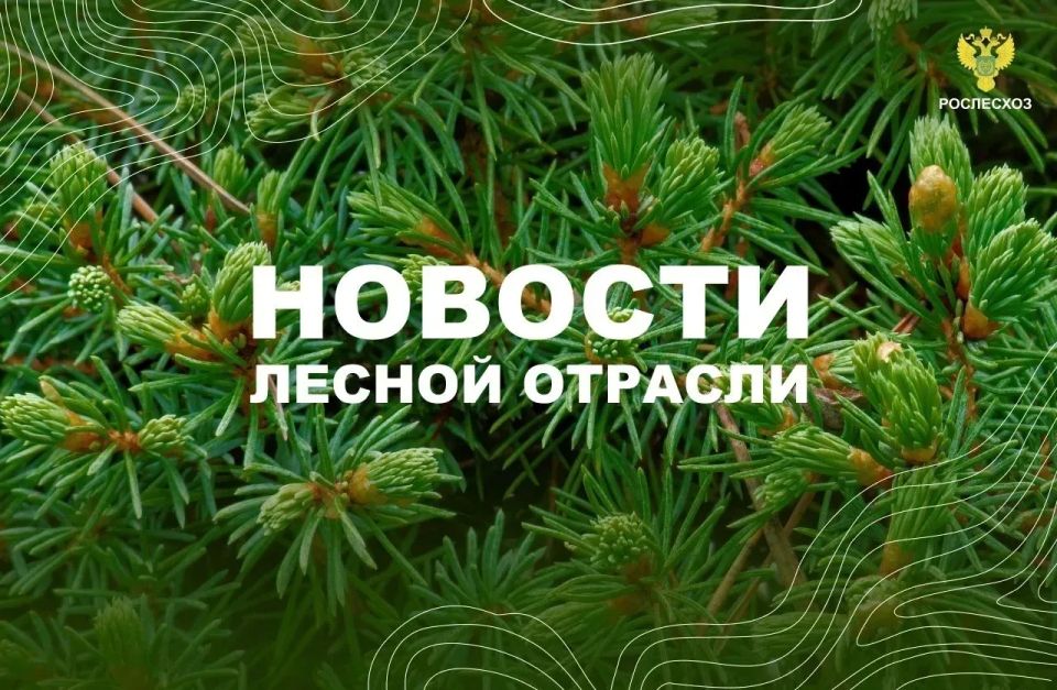 ГТРК Амур: В область дополнительно направят почти полсотни авиапожарных