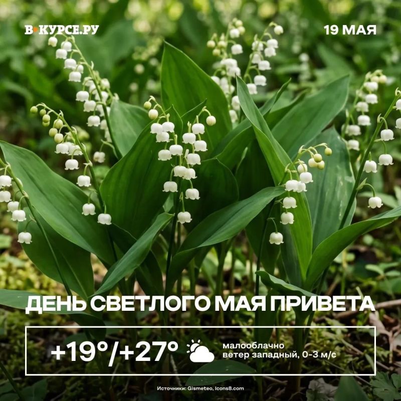 Доброе утро! Сегодня тепло