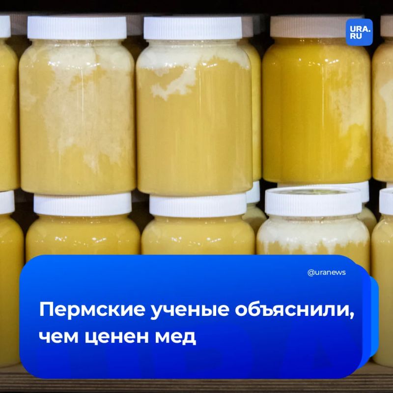Всю правду о меде раскрыли пермские ученые