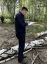 Следователем СК России возбуждено уголовное дело по факту смерти несовершеннолетней в результате падения дерева
