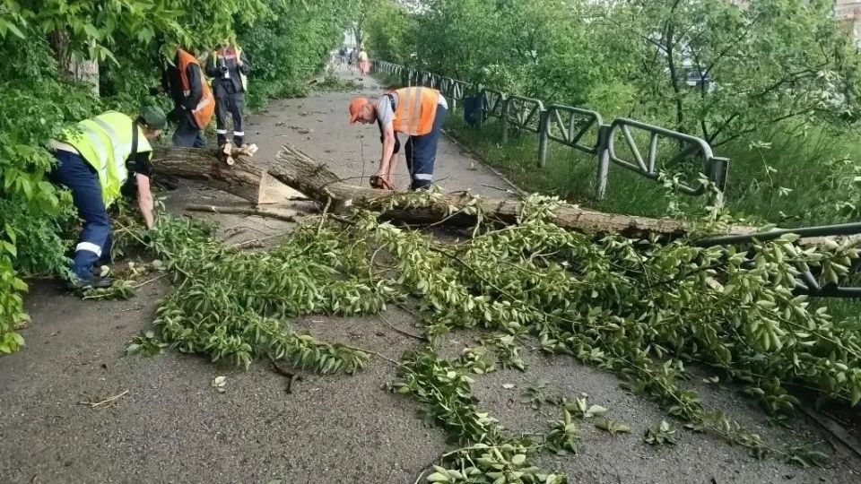 Шквалистый ветер оставил без света Березники и Чердынь