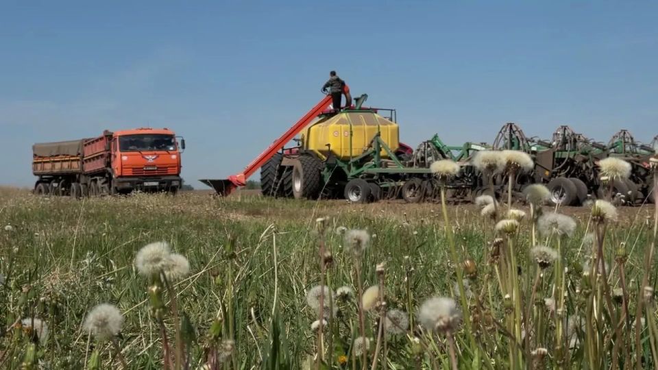 Посевная кампания в Ишимском округе выходит на финишную прямую