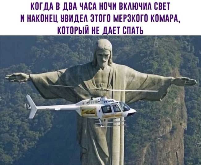 Нашествие комаров ожидается в Пермском крае