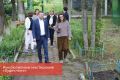 ������ ������: ��������� ������������ � ��� ������ ���: ��� ������������� ��������� ���������� ������ ��� ���������� ������������