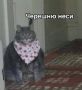 ������� ����� ���������� � �������� ����