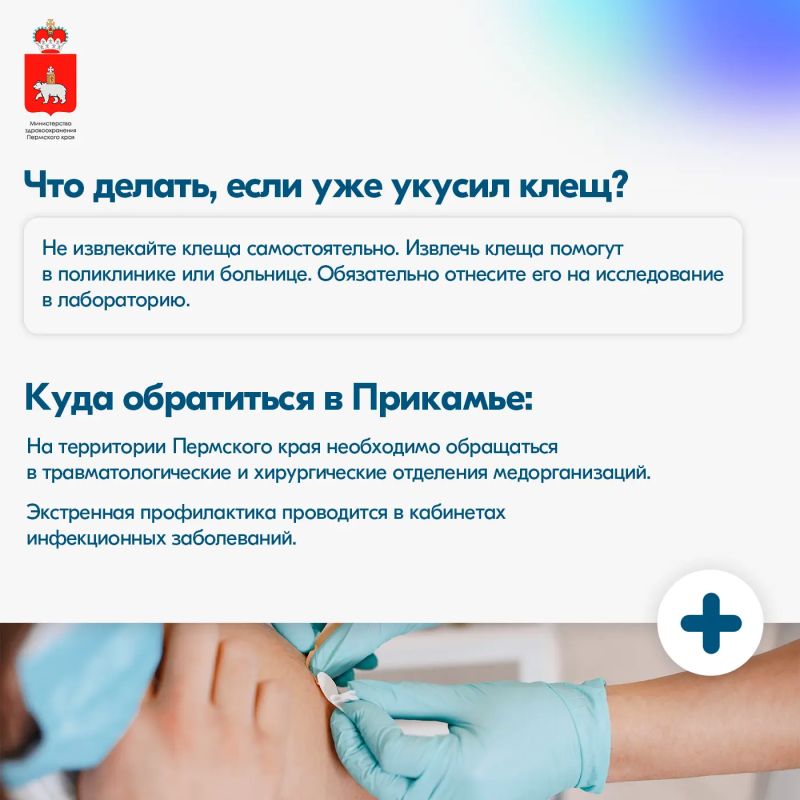 Свыше 7700 жителей Пермского края обратились после укусов клещей