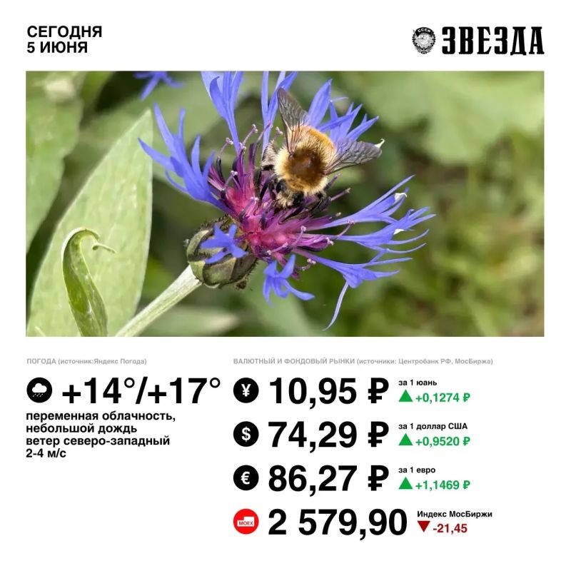Доброе утро, Пермь! . Сегодня воздух прогреется до 17 градусов