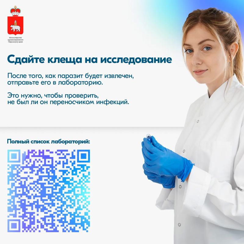Свыше 7700 жителей Пермского края обратились после укусов клещей Свыше 7700 жителей Пермского края обратились после укусов клещей