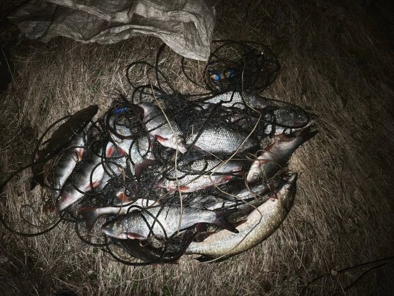 В Чайковском сотрудниками полиции задержан рыбак–нарушитель
