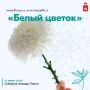 Добрые традиции в центре Перми
