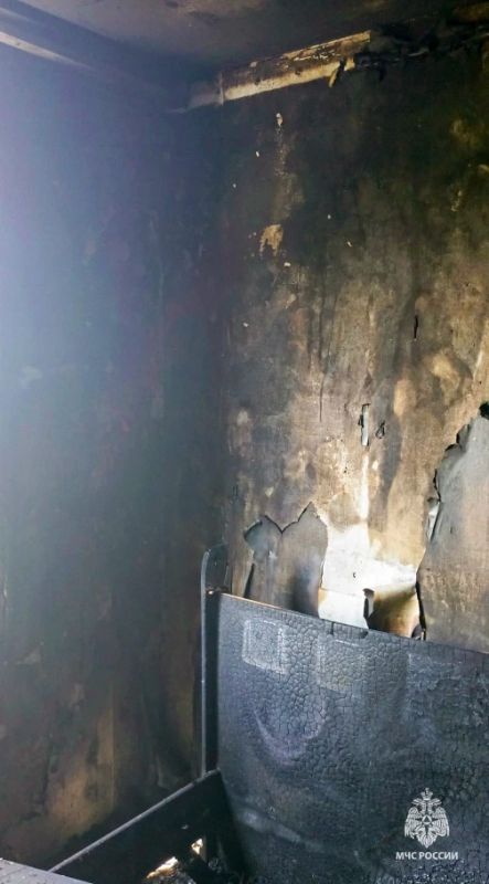 В Прикамье 13летняя девочка спасла младшего брата В Прикамье 13летняя девочка спасла младшего брата