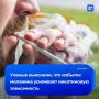 �������� ������� �����: �������� ������ �������� ����������� ����� �������������������