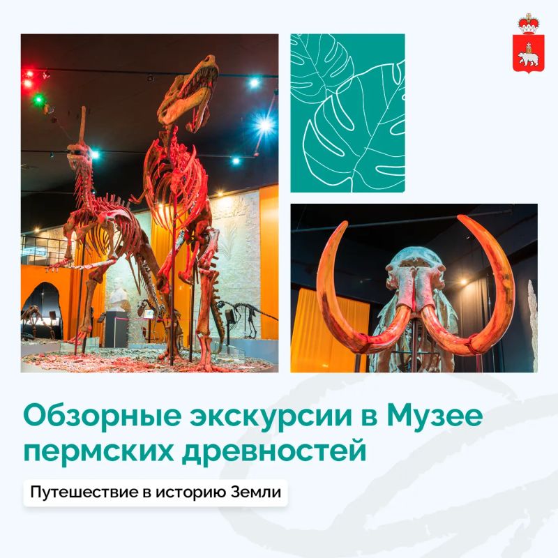 Погружаемся в историю Земли вместе с Музеем пермских древностей