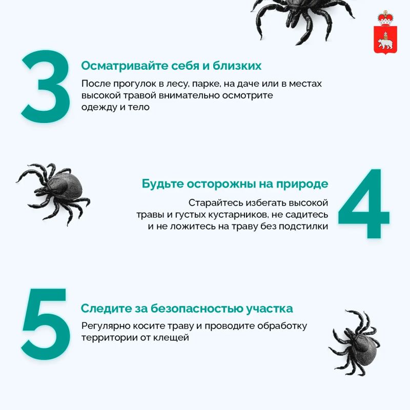 С начала сезона более 11 тысяч жителей Пермского края обратились за медицинской помощью после укусов клещей С начала сезона более 11 тысяч жителей Пермского края обратились за медицинской помощью после укусов клещей