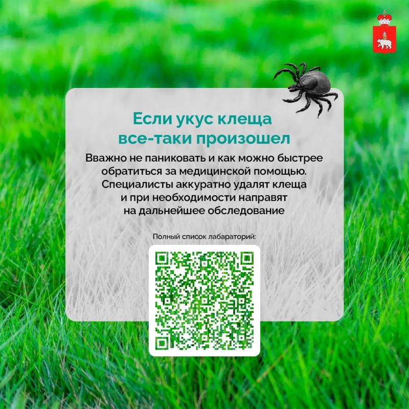 С начала сезона более 11 тысяч жителей Пермского края обратились за медицинской помощью после укусов клещей С начала сезона более 11 тысяч жителей Пермского края обратились за медицинской помощью после укусов клещей