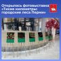 Новая выставка «Тихие километры: городские леса Перми» уже открылась