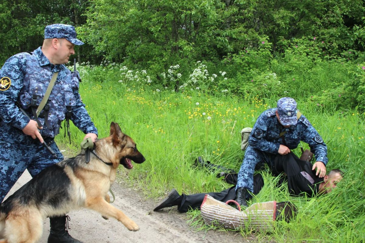 Сегодня с профессиональным праздником мы поздравляем более 9 тысяч специалистов-кинологов и свыше 13 тысяч их четвероногих, хвостатых и верных служебных напарников кинологической службы уголовно-исполнительной системы... Сегодня с профессиональным праздником мы поздравляем более 9 тысяч специалистов-кинологов и свыше 13 тысяч их четвероногих, хвостатых и верных служебных напарников кинологической службы уголовно-исполнительной системы...