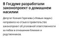 Олег Царёв: В Госдуме снова заговорили о домашнем насилии